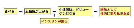 $B%$%s%9%j%s$N$O$?$i$-(J